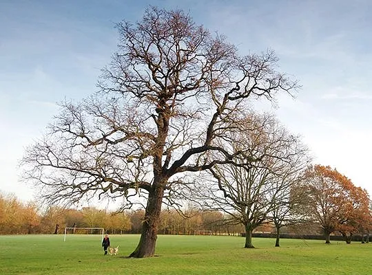 London Road